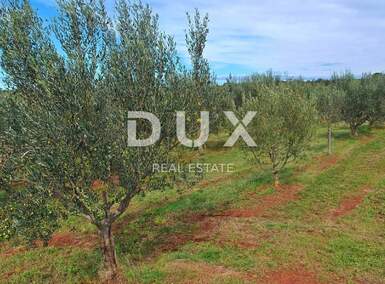 Zemljiste, Poreč, prodaja, 250000 €, 17136 m2