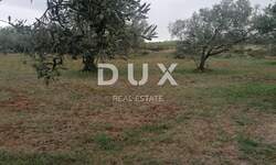 Zemljiste, Fažana, prodaja, 176000 €, 1351 m2