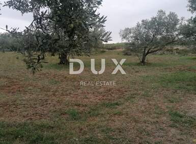 Zemljiste, Fažana, prodaja, 176000 €, 1351 m2