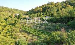 Zemljiste, Gračišće, prodaja, 45000 €, 4067 m2