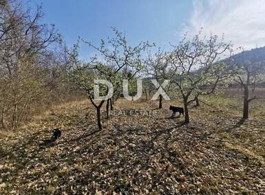 Zemljiste, Motovun, Kaldir, prodaja, 50000 €, 9500 m2