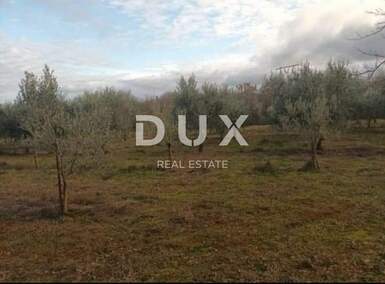 Zemljiste, Barban, prodaja, 100000 €, 9707 m2