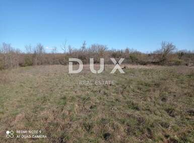 Zemljiste, Sveti Lovreč, Perini, prodaja, 47000 €, 14895 m2