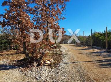 Kuca, Svetvinčenat, prodaja, 480000 €, 300 m2