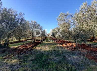 Zemljiste, Novigrad, prodaja, 241000 €, 9632 m2