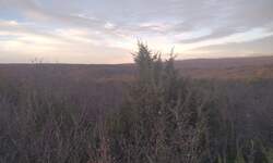 Zemljiste, Krk, prodaja, 59000 €, 5674 m2