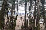 Zemljiste, Klana, prodaja, 155000 €, 8000 m2