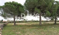 Zemljiste, Vodnjan, Galižana, prodaja, 280000 €, 4478 m2