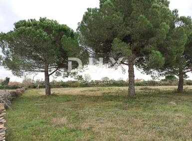 Zemljiste, Vodnjan, Galižana, prodaja, 280000 €, 4478 m2