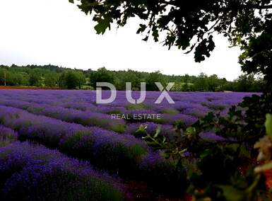 Zemljiste, Grožnjan, prodaja, 425000 €, 6000 m2