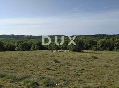 Zemljiste, Višnjan, Sveti Ivan, prodaja, 99600 €, 19190 m2