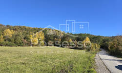 Zemljiste, Buzet, Ročko Polje, prodaja, 11915 €, 7009 m2