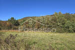 Zemljiste, Buzet, Ročko Polje, prodaja, 11915 €, 7009 m2