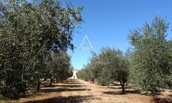 Zemljiste, Umag, prodaja, 360000 €, 10292 m2