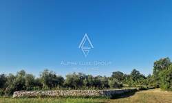 Zemljiste, Umag, prodaja, 850000 €, 8056 m2