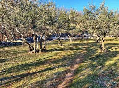 Zemljiste, Krk, Brusići, prodaja, 62000 €, 2100 m2