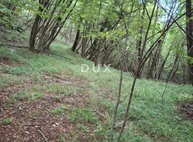 Zemljiste, Viškovo, Marčelji, prodaja, 41560 €, 7691 m2