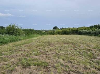 Zemljiste, Umag, prodaja, 140000 €, 0 m2