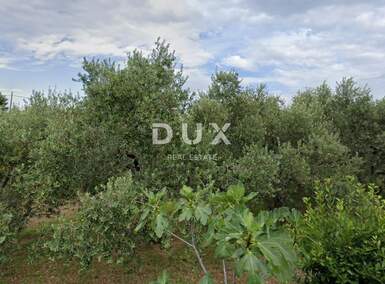 Zemljiste, Krk, Brzac, prodaja, 169000 €, 517 m2