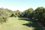 Zemljiste, Poreč, prodaja, 190000 €, 4831 m2