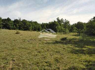 Zemljiste, Višnjan, prodaja, 99900 €, 19190 m2