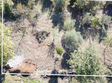 Zemljiste, Poreč, prodaja, 120000 €, 559 m2