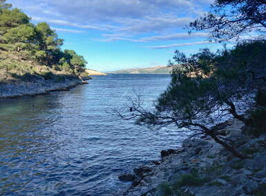 Zemljiste, Stari Grad, prodaja, 199000 €, 12000 m2