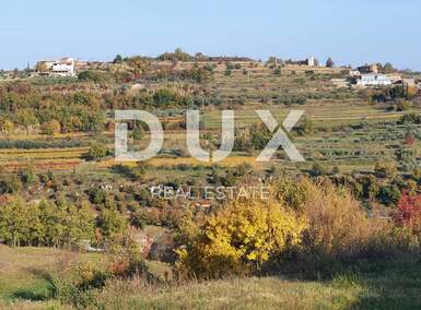 Zemljiste, Buje, Momjan, prodaja, 450000 €, 2649 m2