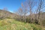 Zemljiste, Oprtalj, prodaja, 180000 €, 2885 m2