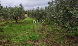 Zemljiste, Medulin, Premantura, prodaja, 638000 €, 1615 m2