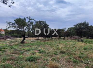 Zemljiste, Benkovac, Tinj, prodaja, 150000 €, 3596 m2