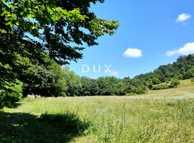 Kuca, Pazin, Stari Pazin, prodaja, 329400 €, 172 m2