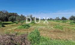 Zemljiste, Pula, Valdebek, prodaja, 288000 €, 9600 m2