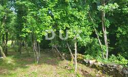 Zemljiste, Barban, prodaja, 90000 €, 3445 m2