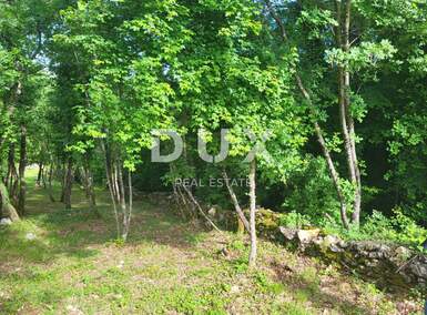 Zemljiste, Barban, prodaja, 90000 €, 3445 m2