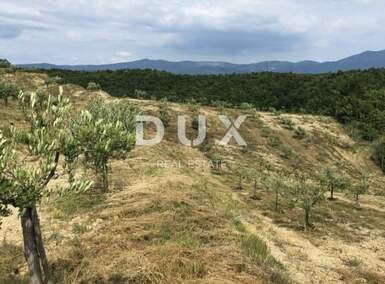 Zemljiste, Cerovlje, Draguć, prodaja, 500000 €, 117535 m2