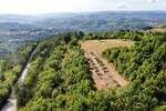Zemljiste, Cerovlje, Draguć, prodaja, 120000 €, 40777 m2