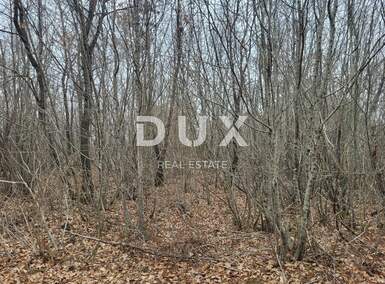 Zemljiste, Buzet, Sveti Donat, prodaja, 99000 €, 13520 m2