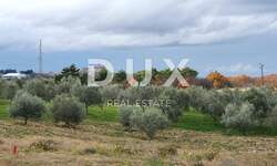 Zemljiste, Buje, prodaja, 262000 €, 1494 m2