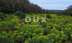 Zemljiste, Mali Lošinj, Punta Križa, prodaja, 90000 €, 7300 m2