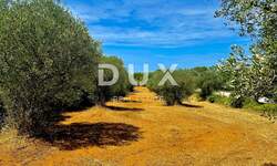 Zemljiste, Bale, prodaja, 47000 €, 3060 m2