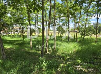 Zemljiste, Kanfanar, prodaja, 77500 €, 1600 m2