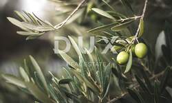 Zemljiste, Svetvinčenat, Štokovci, prodaja, 20000 €, 1446 m2