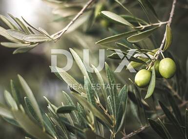 Zemljiste, Svetvinčenat, Štokovci, prodaja, 20000 €, 1446 m2