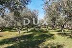 Zemljiste, Krk, Milohnići, prodaja, 639000 €, 24400 m2