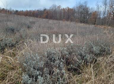 Zemljiste, Višnjan, prodaja, 139000 €, 13835 m2