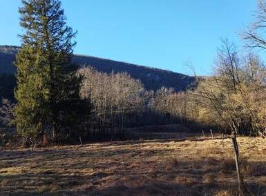 Zemljiste, Klana, prodaja, 53000 €, 9011 m2