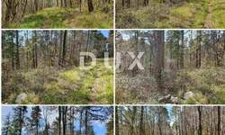 Zemljiste, Grožnjan, Završje, prodaja, 15850 €, 4239 m2