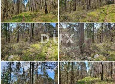 Zemljiste, Grožnjan, Završje, prodaja, 15850 €, 4239 m2