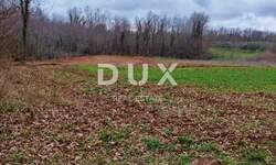 Zemljiste, Barban, prodaja, 52000 €, 11669 m2